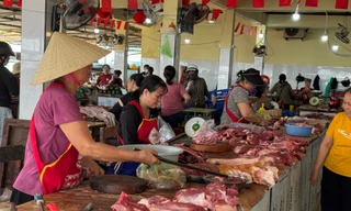 Có hay không việc 'thả nổi' kiểm dịch 90% thịt lợn ở Quảng Trị?