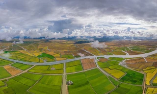 Đề xuất dự án điện gió gần 320 triệu USD ở vùng đầm phá Quảng Trị 