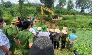 Xử phạt hơn 1 tỷ đồng cụm trang trại nuôi lợn gây ô nhiễm môi trường ở Thanh Hóa