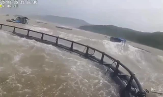VIDEO: Gió giật cấp 12, sóng dữ đánh trôi nhiều lồng bè nuôi cá ở Quảng Trị 