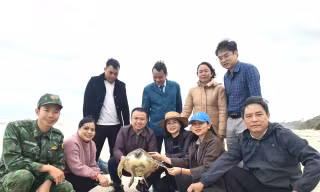 Rùa biển quý hiếm mắc lưới ngư dân, trôi dạt vào bờ biển Quảng Trị