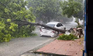 Nhiều phương tiện hư hỏng vì bị cây xanh đổ gãy, đè lên