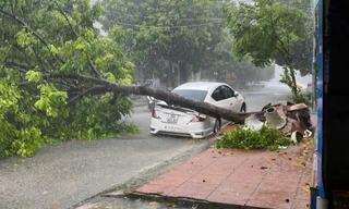 Nhiều phương tiện hư hỏng vì bị cây xanh đổ gãy, đè lên