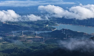 Quảng Trị thu ngân sách hơn 13.300 tỉ đồng