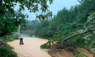 Quảng Trị di dời khẩn cấp nhiều hộ dân để ứng phó với mưa lũ 