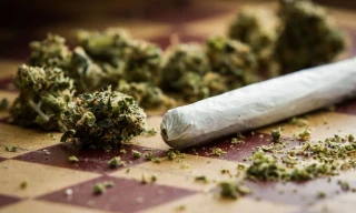 Quấn ‘cỏ’ cho nhóm nhậu sử dụng, nam thanh niên bị bắt