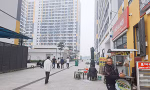 Ảnh minh họa. Ảnh: Nguyễn Thắng