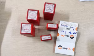 Con dấu, Token của các “Công ty ma” do bị can điều hành hoạt động.