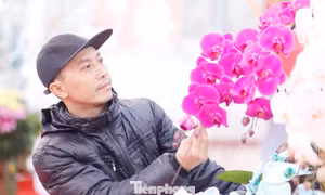 Một cửa hàng trên đường Lê Lợi, phường Bắc Giang (Bắc Ninh).