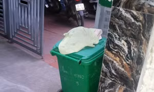 Hiện trường vụ việc.