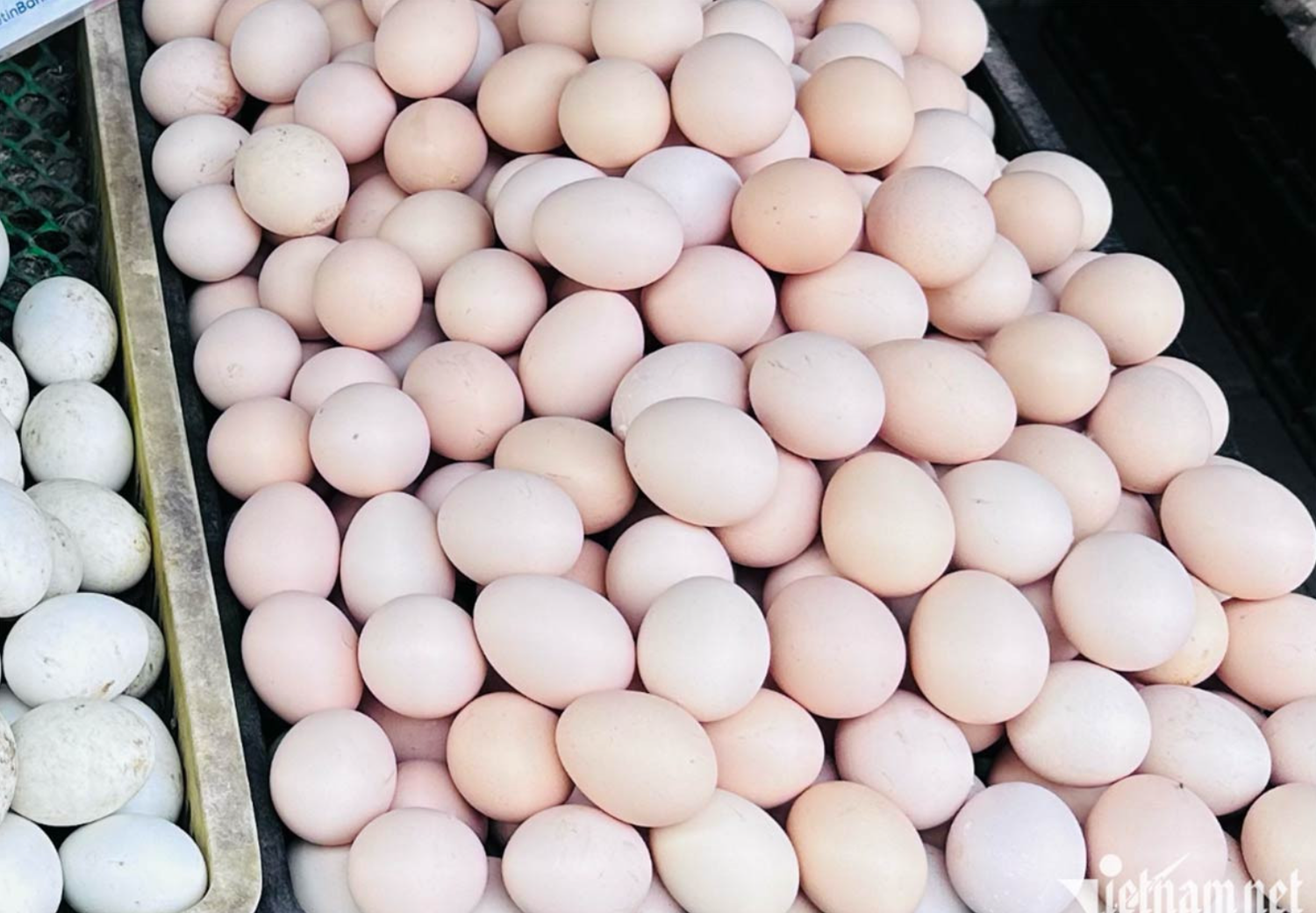 Hà Nội: Giá rau xanh có loại 180.000 đồng/kg, tôm hùm chỉ 200.000 đồng/kg