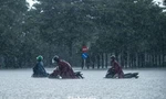 Mỹ Đình lại ngập sau mưa lớn: Thanh niên đi làm sớm 2 tiếng vẫn bất lực vùi mình dưới biển