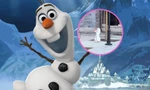 Olaf (Frozen) lộ diện ngoài đời thật, netizen muốn bắt về nuôi vì quá đáng yêu
