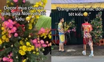 Trào lưu Noel "trộn" Tết hài hước: Từ cây thông mọc hoa mai đến âm nhạc "2 trong 1"