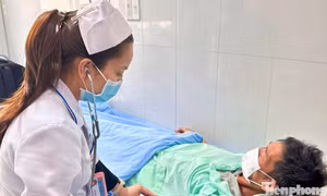 Vụ 84 người nhập viện sau khi ăn bánh mì: Công an vào cuộc, tạm đình chỉ cơ sở kinh doanh