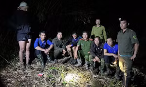 Tìm thấy hai khách du lịch nước ngoài lạc trong rừng lúc nửa đêm