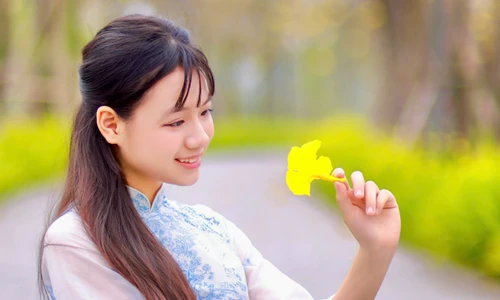 Hà Nội xao xuyến mùa hoa ban tím, phong linh nhuộm vàng góc phố