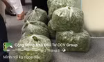 Vụ CCV Group: Từng giới thiệu 'cắt rau ra tiền' lừa hàng trăm người 