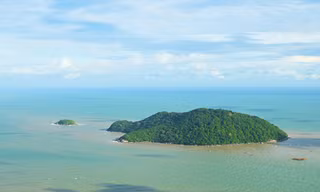 Cà Mau chuyển gần 10ha rừng phòng hộ để làm đường ra đảo Hòn Khoai