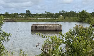 Mô hình ‘Ngân hàng đất’ chưa có tiền lệ ở Cà Mau bị thất bại