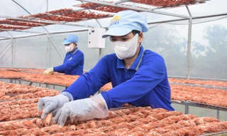 Giá tăng vù vù, đặc sản Cà Mau không có mà bán