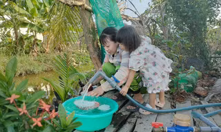 Hàng trăm hộ dân ở Cà Mau đón nước sạch sau bài báo trên Tiền Phong