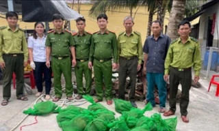 Bỏ lại 22 con chồn hương khi thấy bóng công an tuần tra