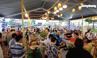 Đi tìm 'vua cua' gây sốt du lịch Cà Mau 