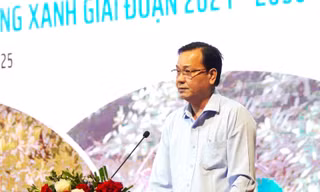 Cà Mau dựng 'lá chắn xanh' từ rừng ngập mặn để ứng phó sạt lở