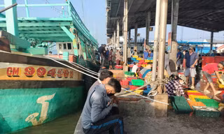 Thanh tra Chính phủ quyết định thanh tra công tác chống IUU ở Cà Mau