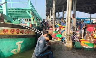 Thanh tra Chính phủ quyết định thanh tra công tác chống IUU ở Cà Mau