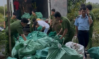 Tạm giữ 4 tấn mỹ phẩm không rõ nguồn gốc