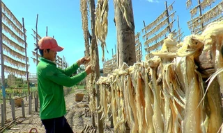 Làng khô cá khoai vào vụ Tết: Tất bật ngày đêm, làm bao nhiêu hết bấy nhiêu