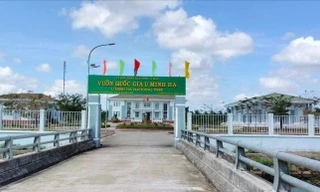 Vụ bán hàng nghìn vé câu cá 'tự in': Kiến nghị kiểm điểm Giám đốc Vườn quốc gia U Minh Hạ