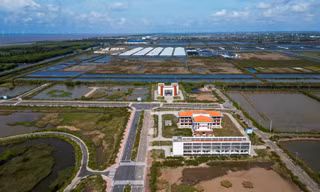 Thanh tra toàn diện khu công nghệ cao phát triển tôm Bạc Liêu 