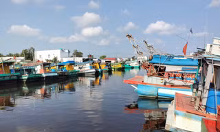 Ngư dân bám biển thế nào khi giá nhiên liệu tăng cao? 