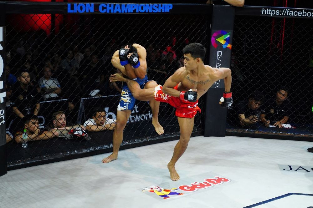 ក្នុងការប្រកួត MMA Pro ទម្ងន់៦០គីឡូក្រាម Danh Quoc បានយកឈ្នះ KOing Dinh Trung Hieu ក្នុងទឹកទី១ ដោយប្រើស្នៀតកែង។ ដោយការវាយបកតែមួយដង Danh Quoc ដែលមានរហស្សនាមថា 6-248.jpg