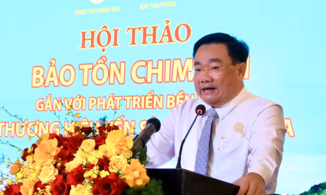 Khánh Hòa sở hữu quần thể chim yến đảo thiên nhiên lớn nhất châu Á