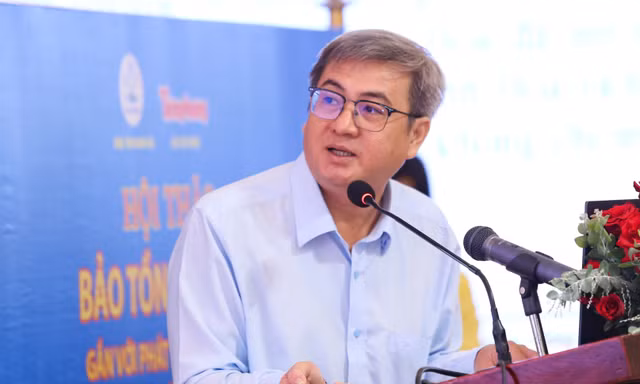 Săn bắt trái phép chim yến ngày càng phức tạp, nghiêm trọng