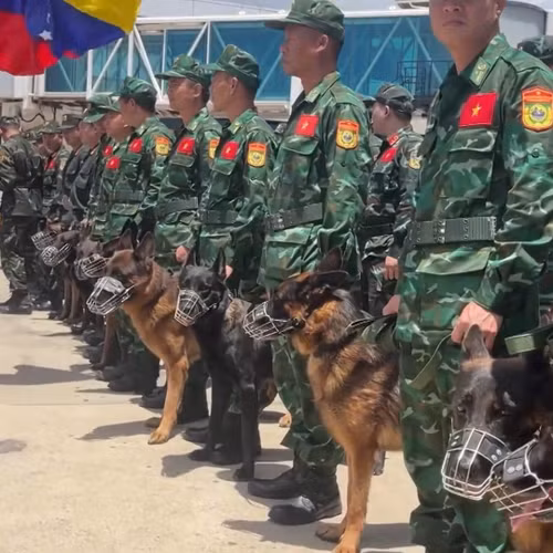 Quân khuyển Việt Nam và cuộc tìm kiếm đặc biệt ở Venezuela