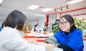 Hàng trăm bạn trẻ vượt mưa rét đi hiến máu