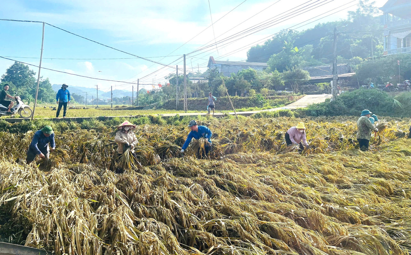 kim-binh-6.jpg
