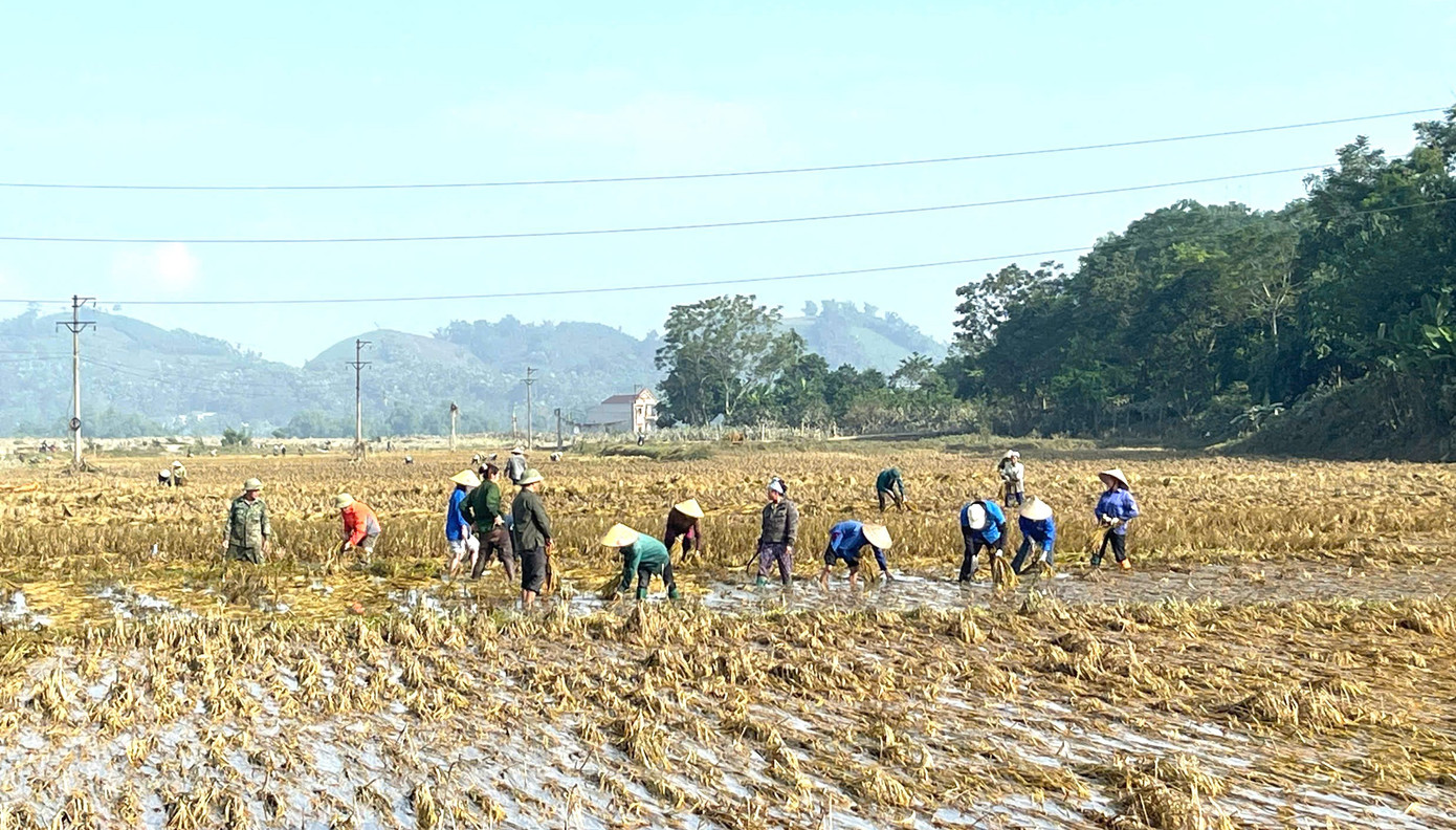 kim-binh-4.jpg
