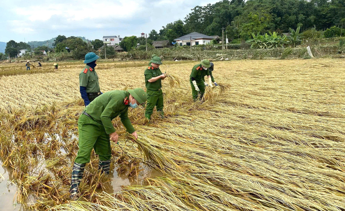 kim-binh-5.jpg