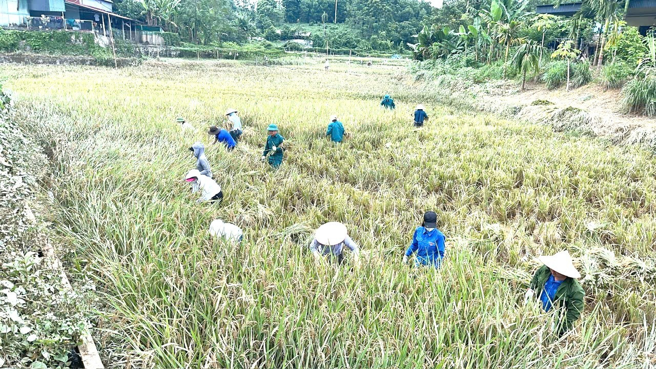 kim-binh.jpg