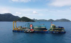 Đưa điện từ đất liền ra đặc khu Côn Đảo