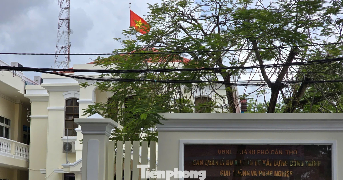 Cần Thơ sắp xếp các ban quản lý dự án, sáp nhập Ban dự án ODA