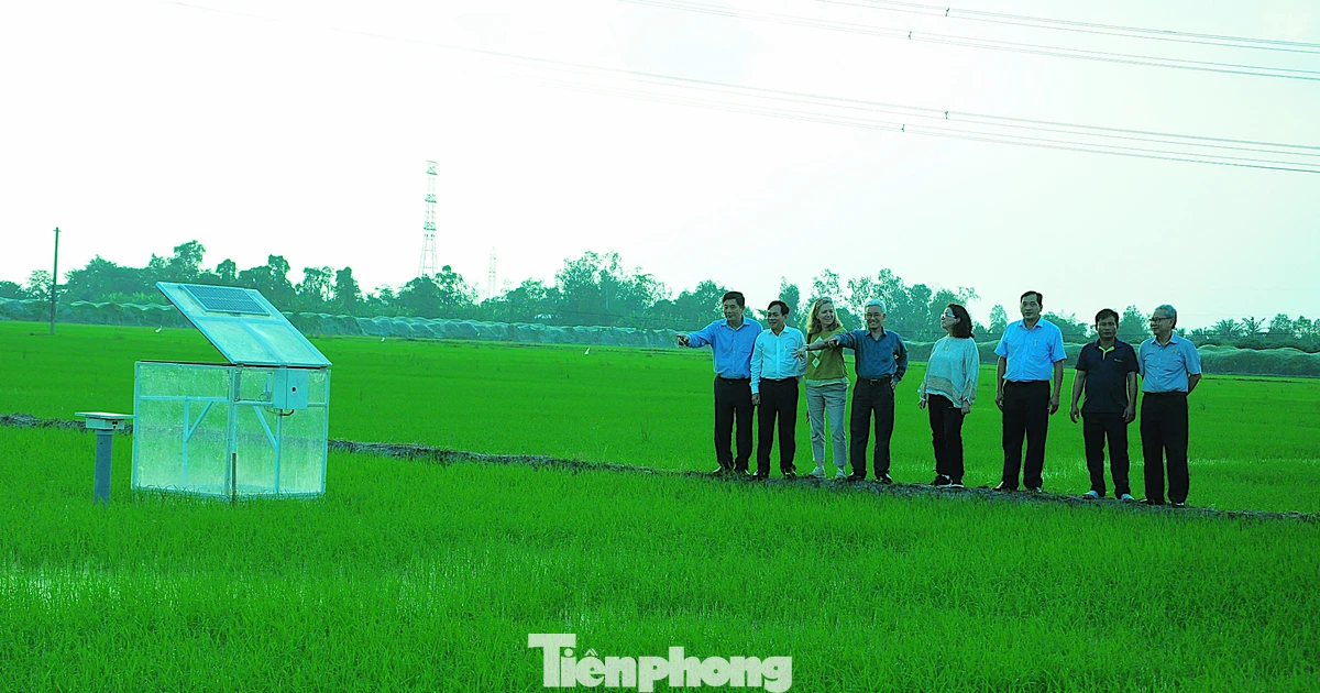 Cần chuyển sản xuất 'cái mình có' sang 'cái thị trường cần'