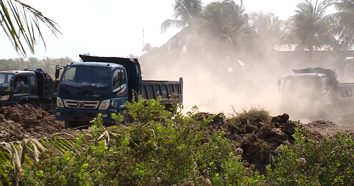 Cảnh báo tình trạng ồ ạt khai thác đất mặt ruộng