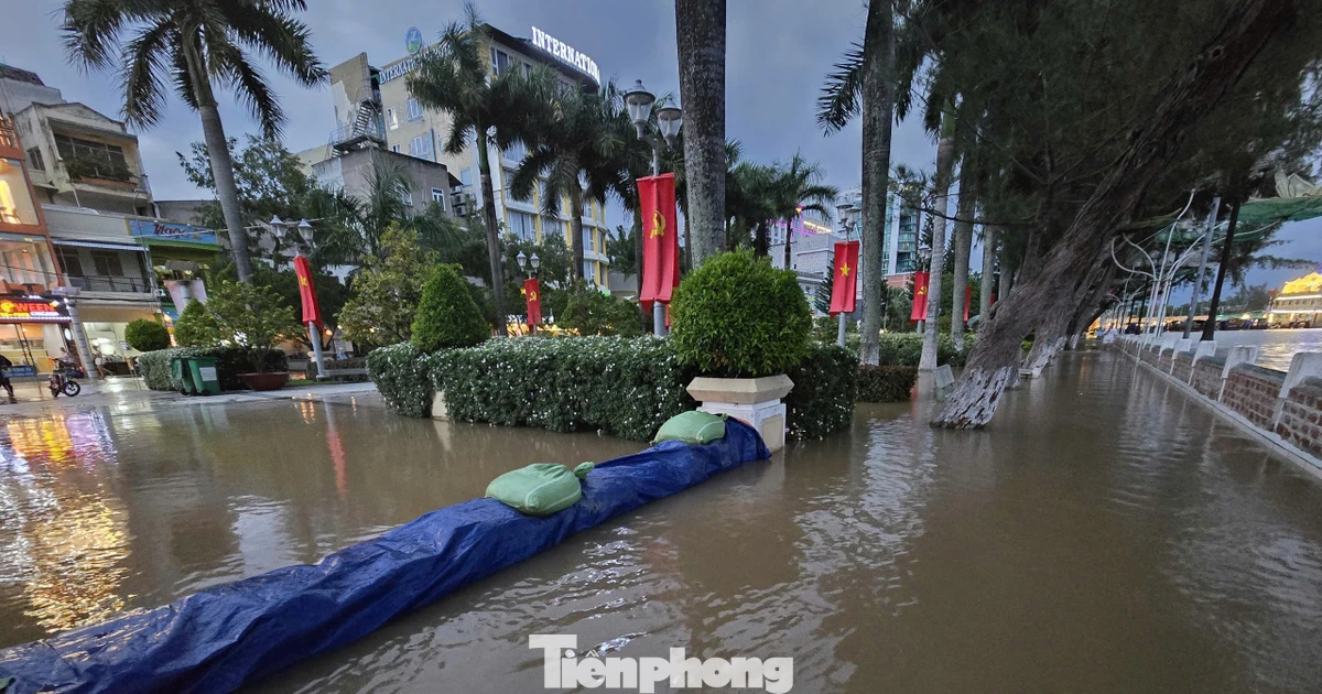 Nâng nền cho Bến Ninh Kiều để hết ngập